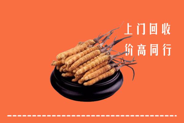鼓楼区回收冬虫夏草